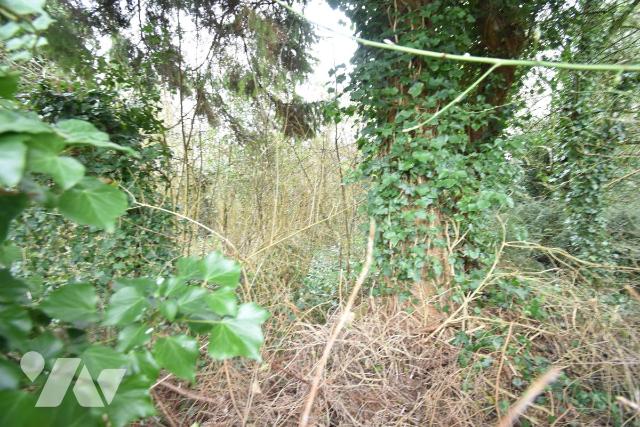 Terrain 600 m² · à Berneuil · 600 m² · 33 000 €
