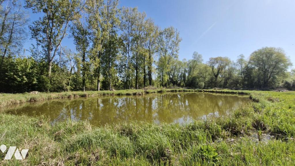 Terrain 3446 m² · à Fontaine-sur-Somme · 3 446 m² · 18 000 €