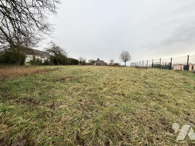 Terrain — Louvencourt