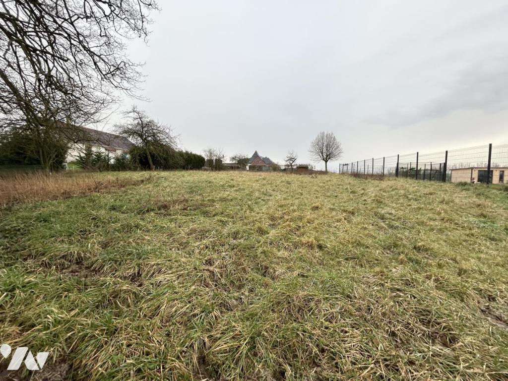 Terrain — Louvencourt