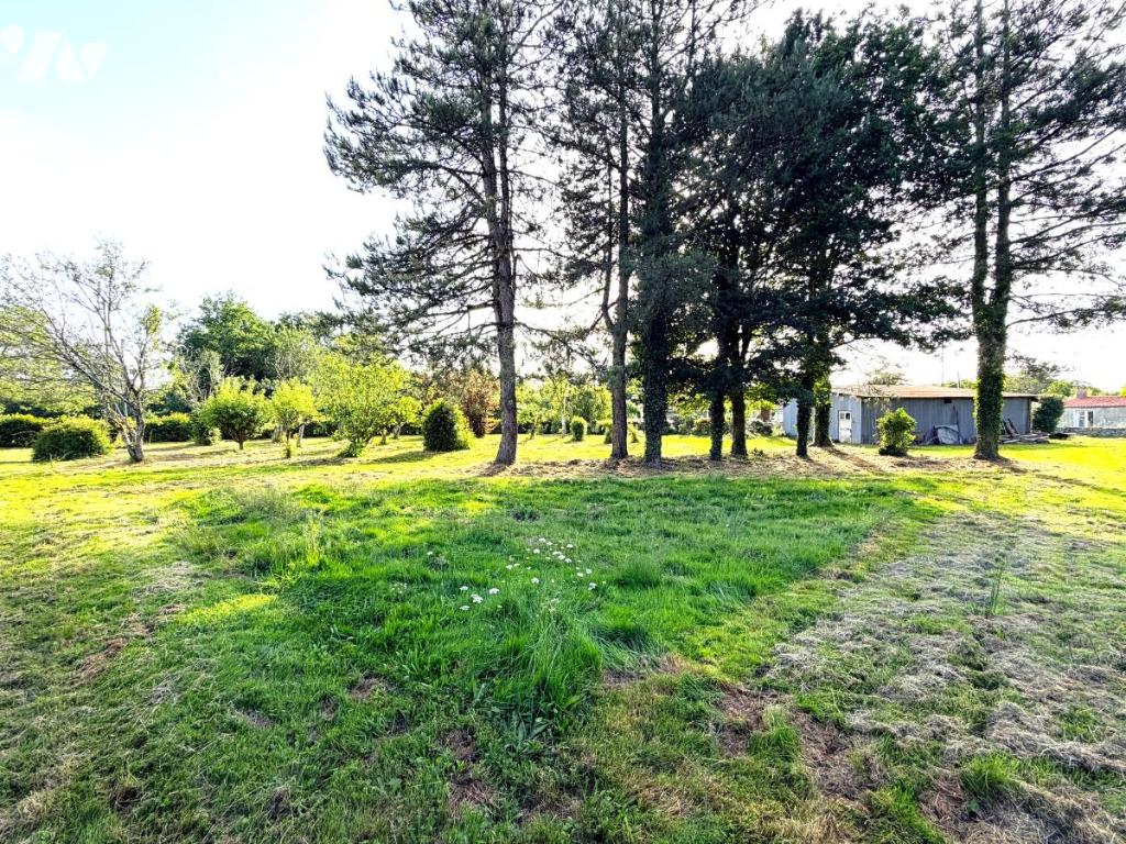 Terrain 1264 m² · à Saint-Vincent-sur-Graon · 1 264 m² · 42 500 €