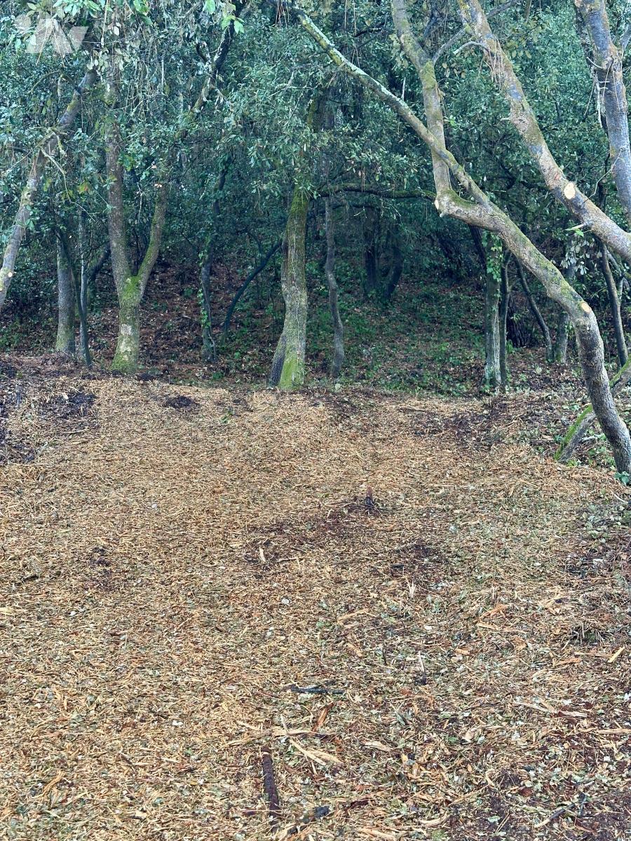 Terrain 600 m² · à La Tranche-sur-Mer · 600 m² · 230 000 €