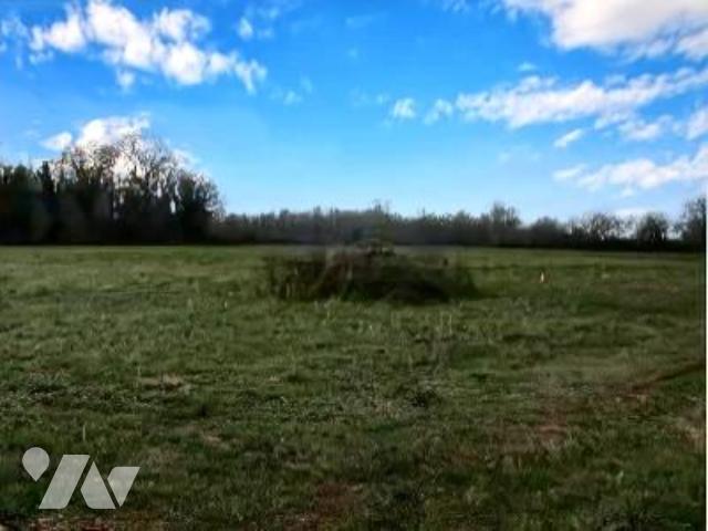 Terrain 1996 m² · à Brux · 1 996 m² · 20 000 €