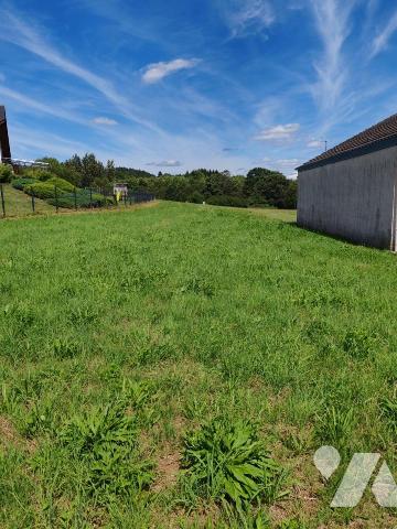 Vente - Terrain - NEUVILLERS SUR FAVE - 2 370 m² - 88048-346