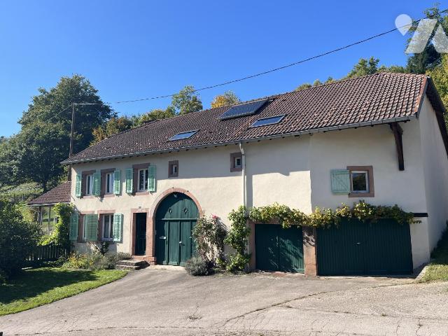 Vente - Maison / villa - LA GRANDE FOSSE - 204 m² - 0 pièce - 88050-436