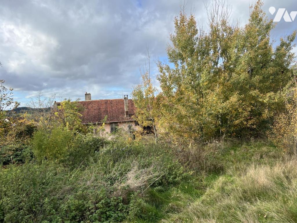 VENTE maison-LA VOIVRE (88)