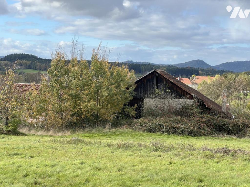 VENTE maison-LA VOIVRE (88)