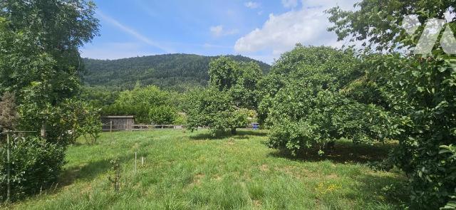 Terrain 1763 m² · à Raon-l'Étape · 1 763 m² · 56 000 €
