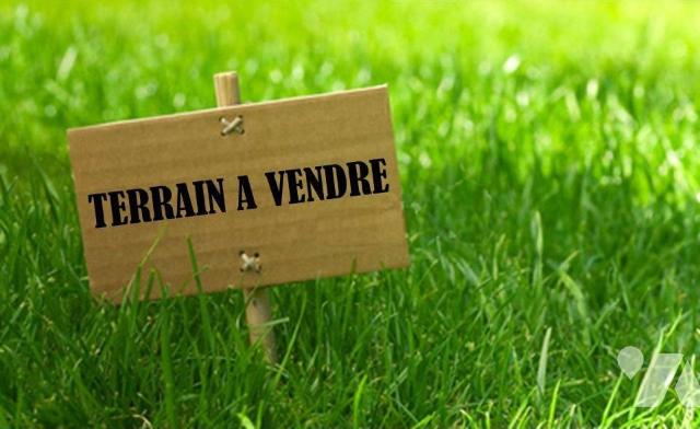 Vente Terrain ST LEU