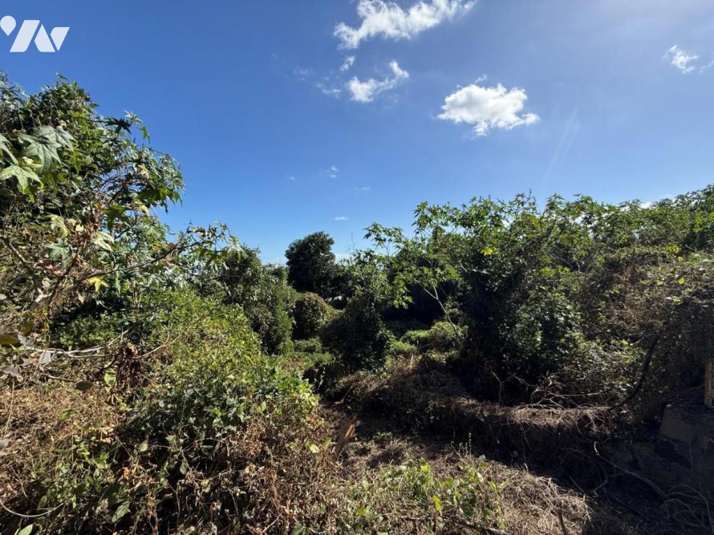 Terrain — Saint-Pierre