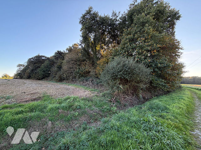 Terrain — Guilliers