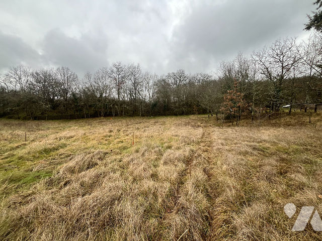 TER 879m²