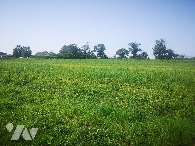 Terrain 2000 m² · à Ducey-les Chéris · 2 000 m² · 60 000 €