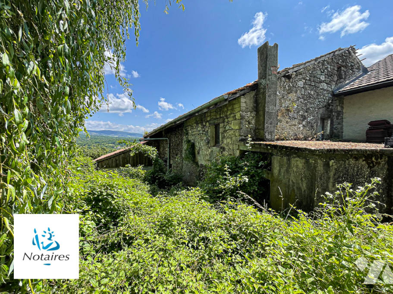 VENTE maison-CONTAMINE SARZIN (74)