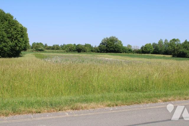 Terrain — Froidmont-Cohartille