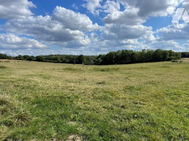 Vente - Terrain - SAULCES MONCLIN - 1 250 m² - 08018/08018-TEBA-2194