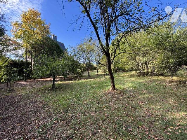 Vente - Terrain - FLIZE - 2 800 m² - 08053/10305/1255