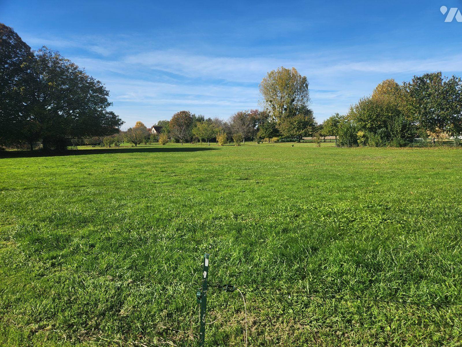 VENTE terrain-TRANNES (10)
