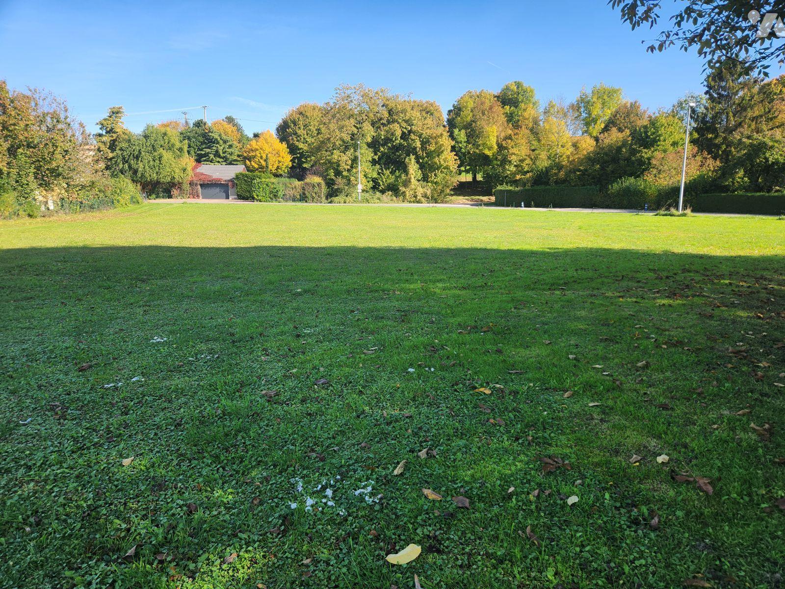 VENTE terrain-TRANNES (10)