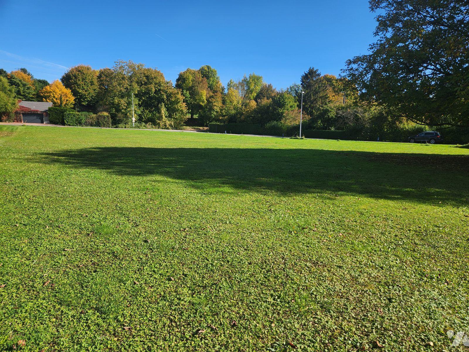 VENTE terrain-TRANNES (10)