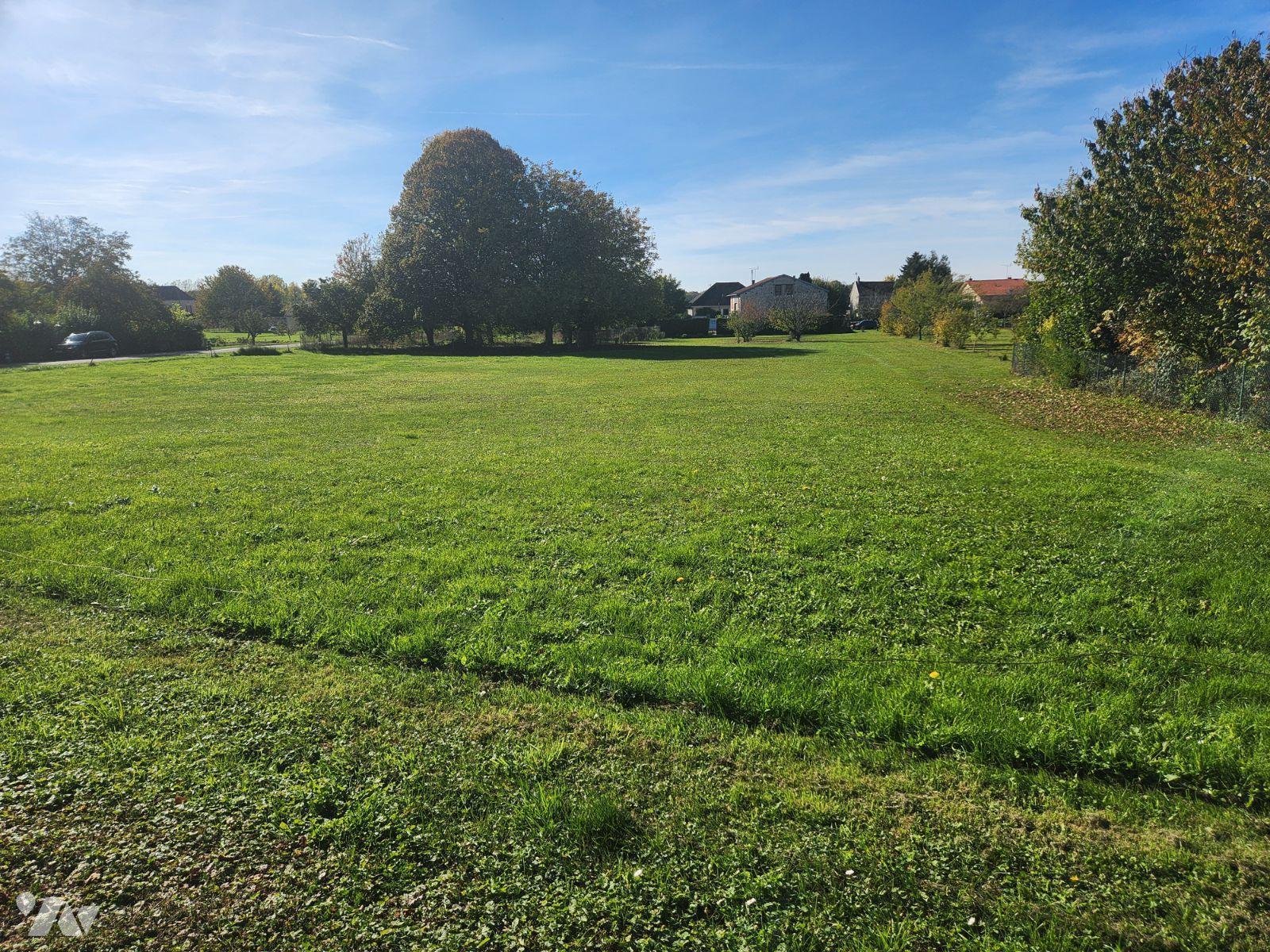 VENTE terrain-TRANNES (10)
