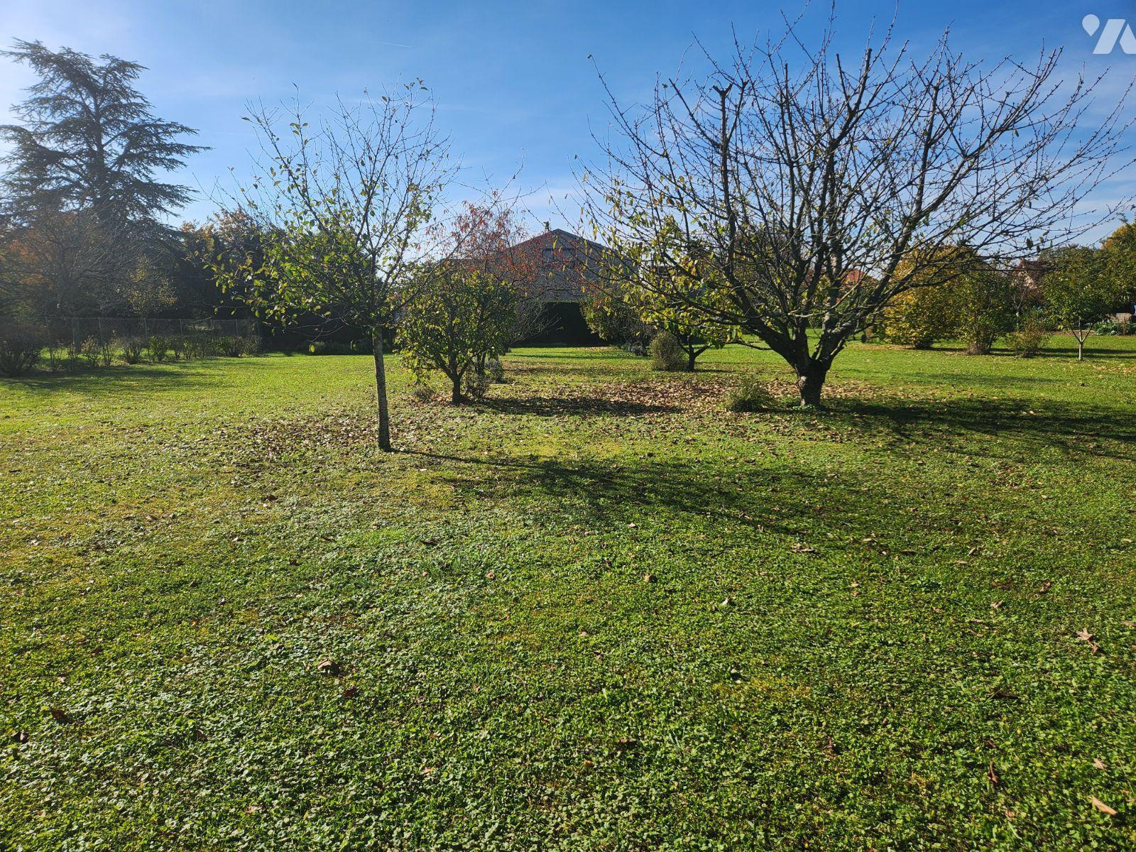 VENTE terrain-TRANNES (10)