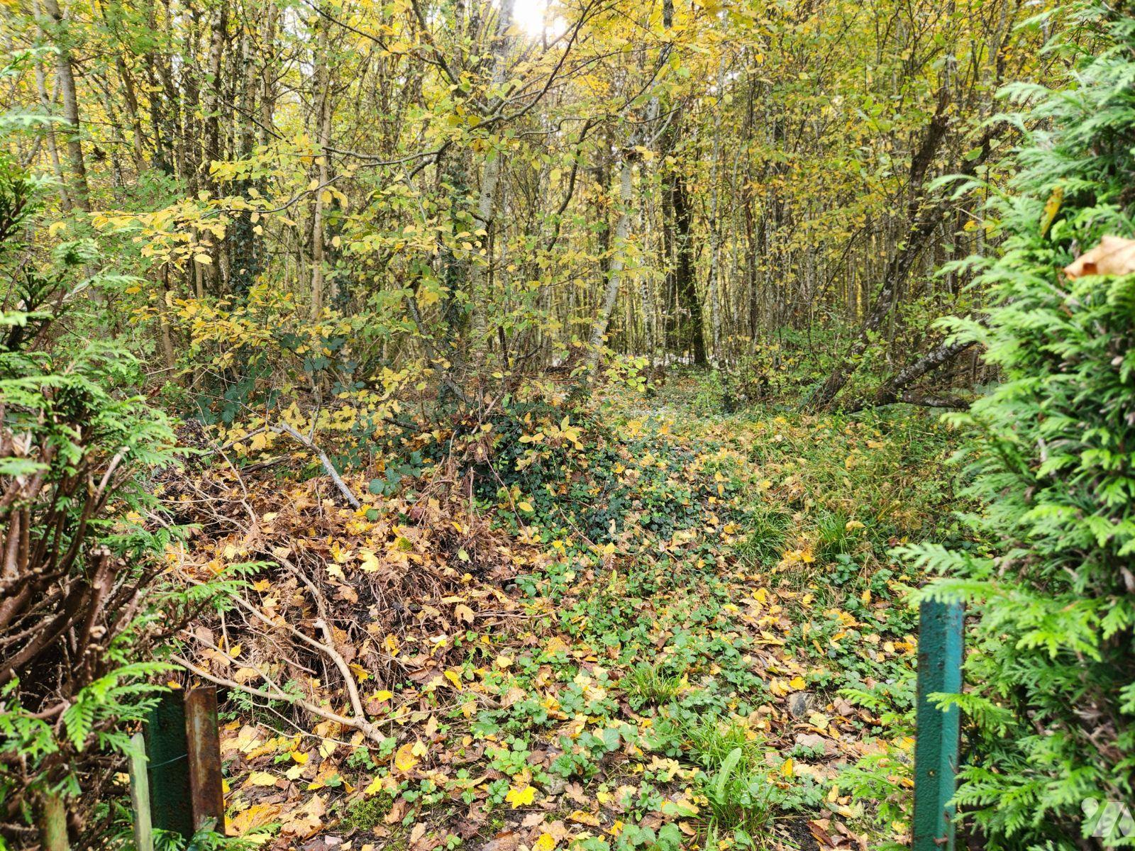 VENTE maison-VILLE SOUS LA FERTE (10)