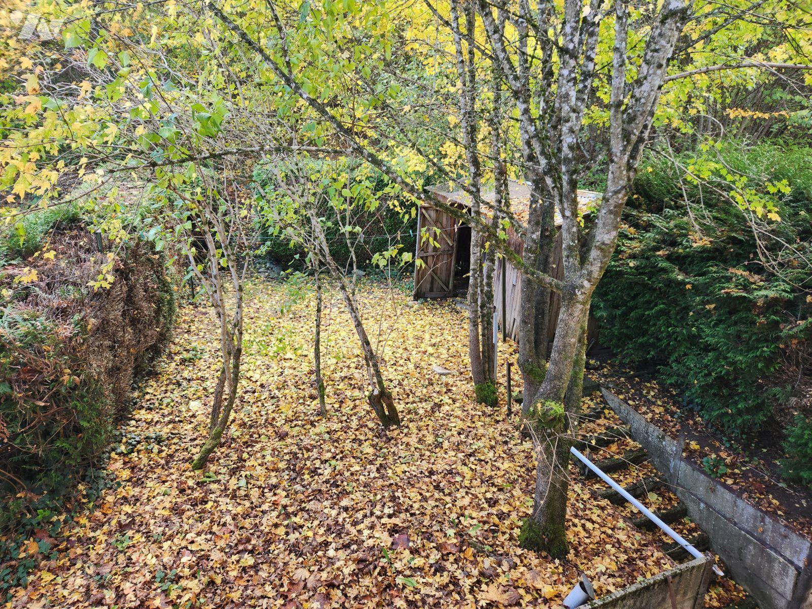 VENTE maison-VILLE SOUS LA FERTE (10)