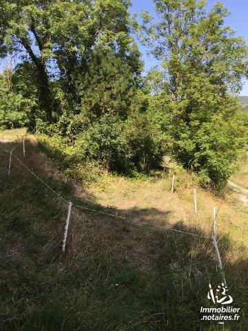 Vente - Terrain agricole - Saint-Affrique - 6649.00m² - Ref : 10443/158