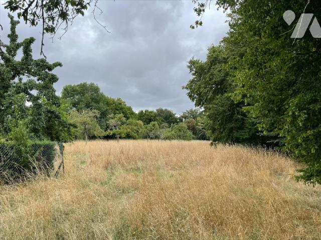 Terrain 4165 m² · à Morteaux-Coulibœuf · 4 165 m² · 55 000 €