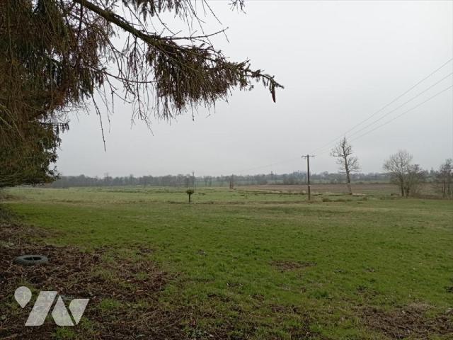 Vente - Bien agricole - BERNIERES LE PATRY - 134 188 m² - 14085/14085-3616