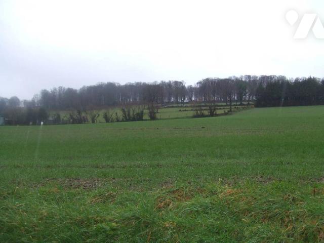 Sale - Agricultural property - ST AUBIN DES BOIS - 95,158 m² - 14085/14085-2530