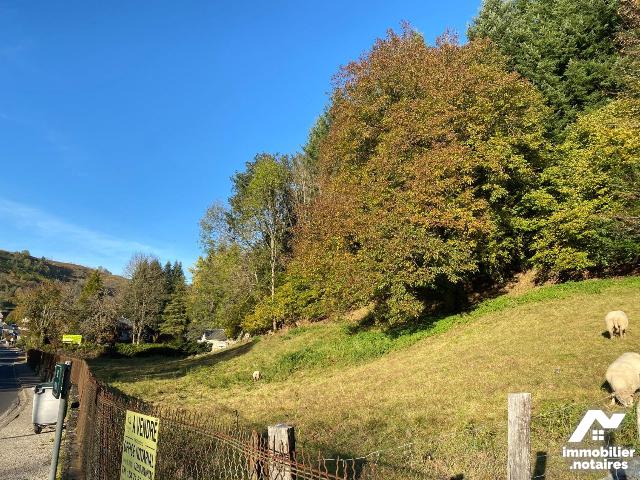 TER 2500m²