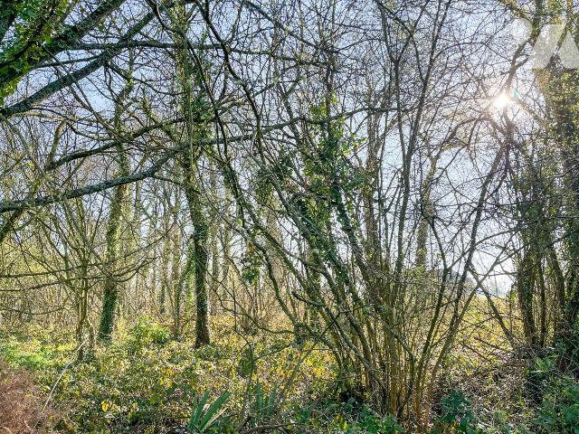 Terrain 1990 m² · à Hédé-Bazouges · 1 990 m² · 5 000 €