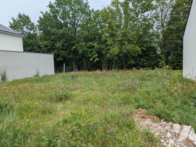 Terrain 375 m² · à Crevin · 375 m² · 78 000 €