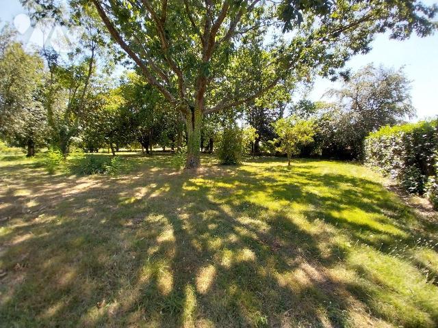 Terrain 2245 m² · à Louvigné-de-Bais · 2 245 m² · 134 700 €