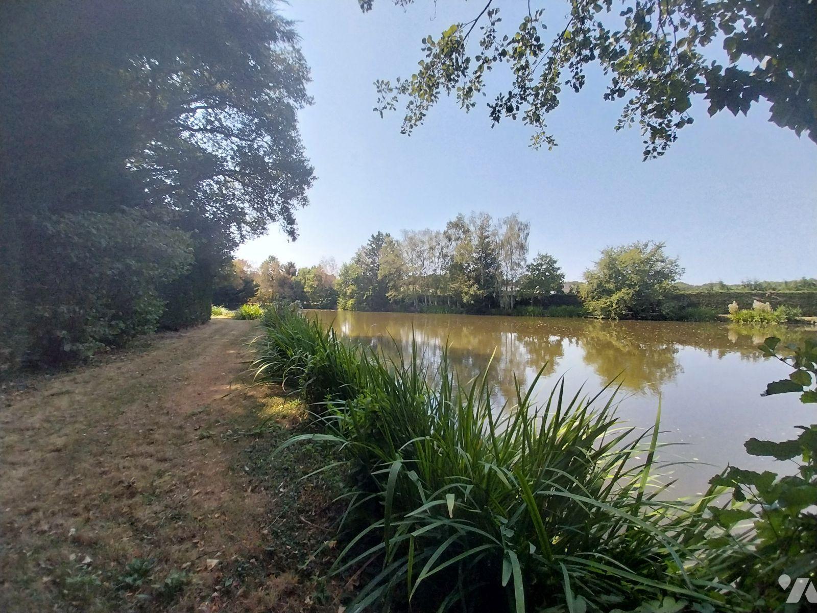Terrain 8870 m² · à Bourgon · 8 870 m² · 60 000 €