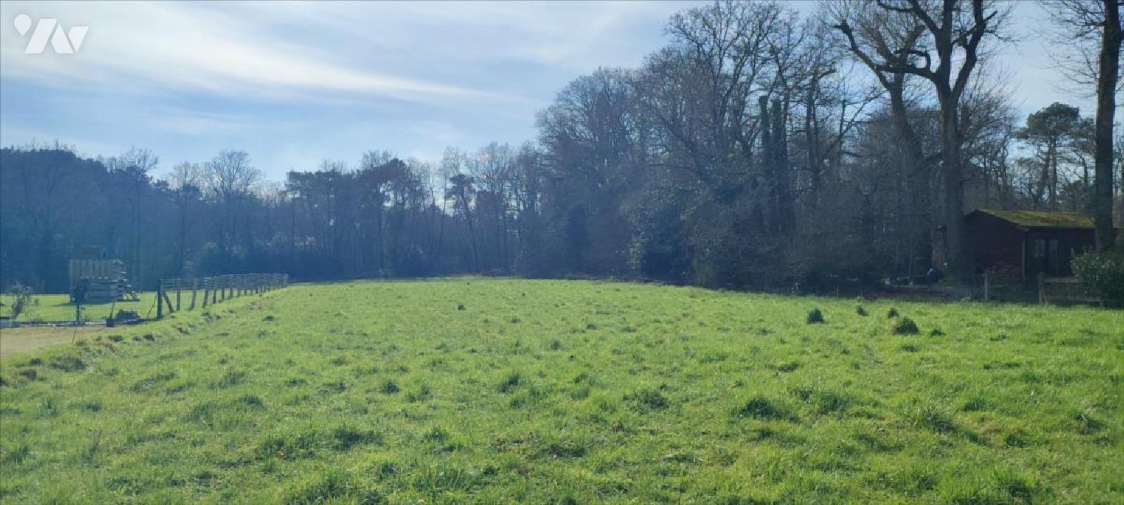 VENTE terrain-ALLAIRE (56)