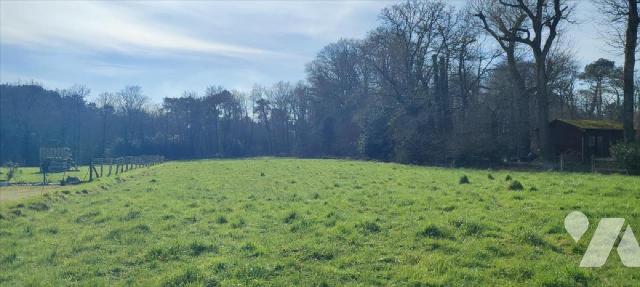 Vente - Terrain - ALLAIRE - 3 601 m² - 35143/143/194T