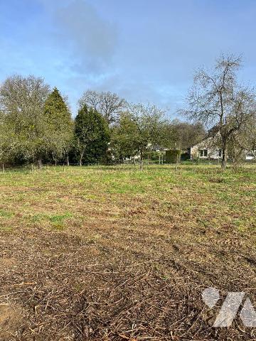 Vente - Terrain - ST MARC LE BLANC - 825 m² - 0 pièce - 35153/153/137