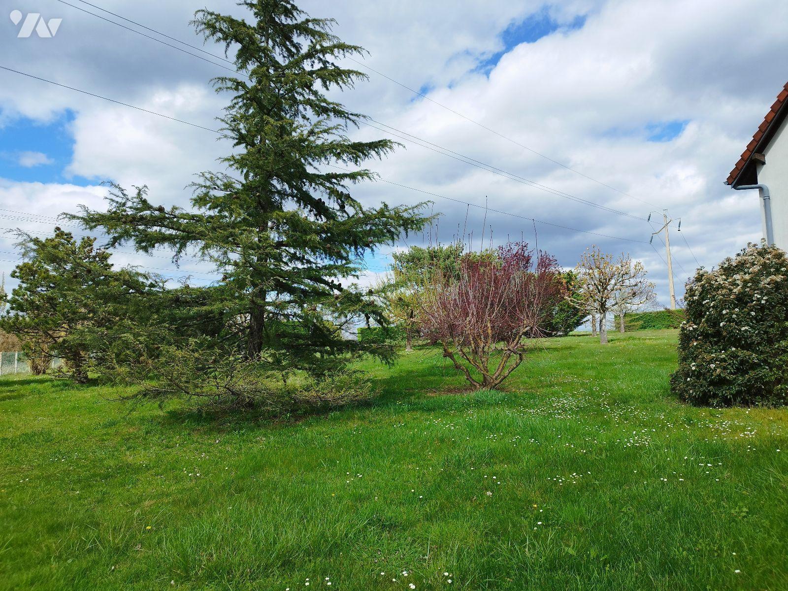 VENTE maison-MONTGIVRAY (36)