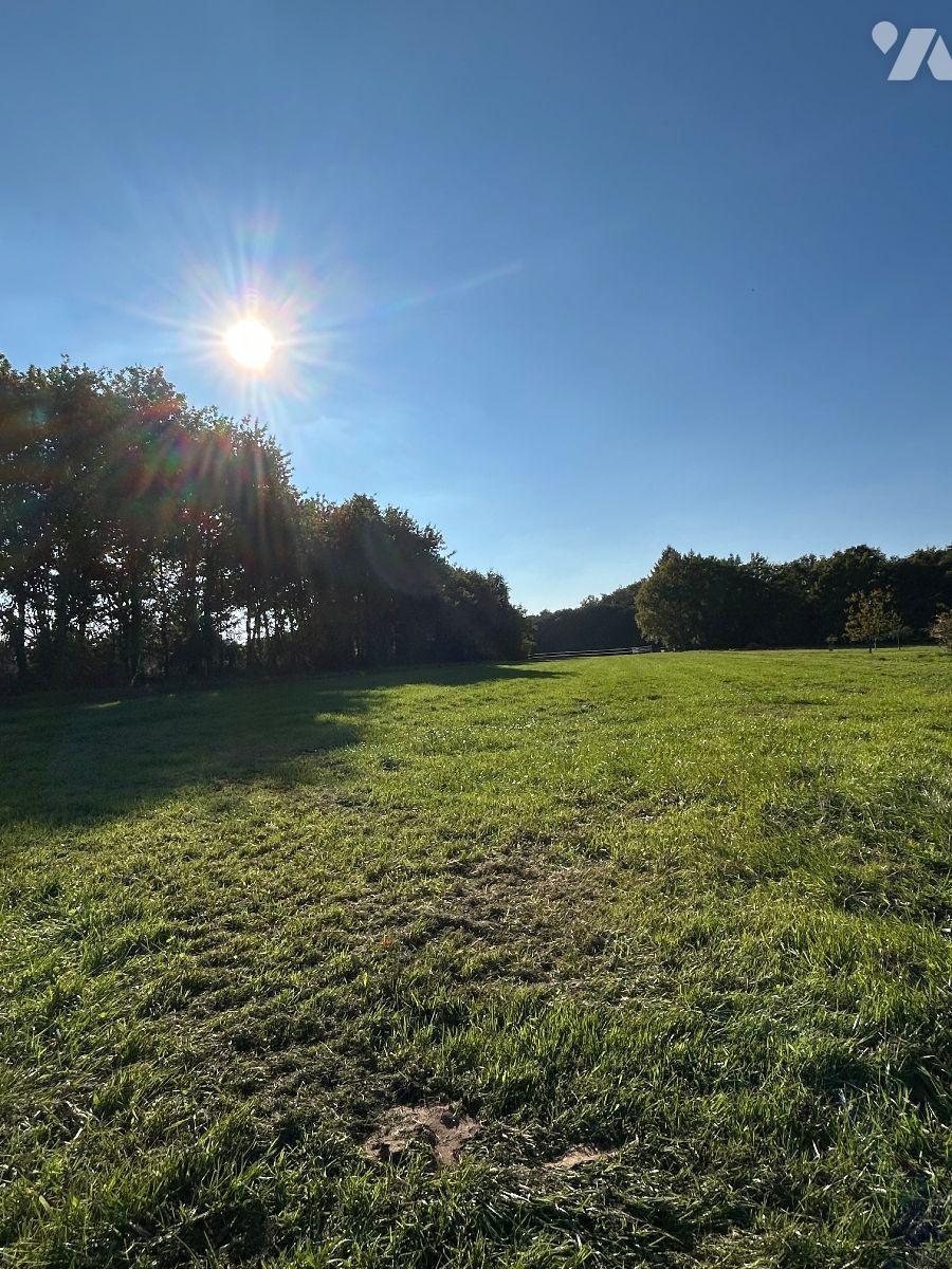 VENTE terrain-LE MAGNY (36)