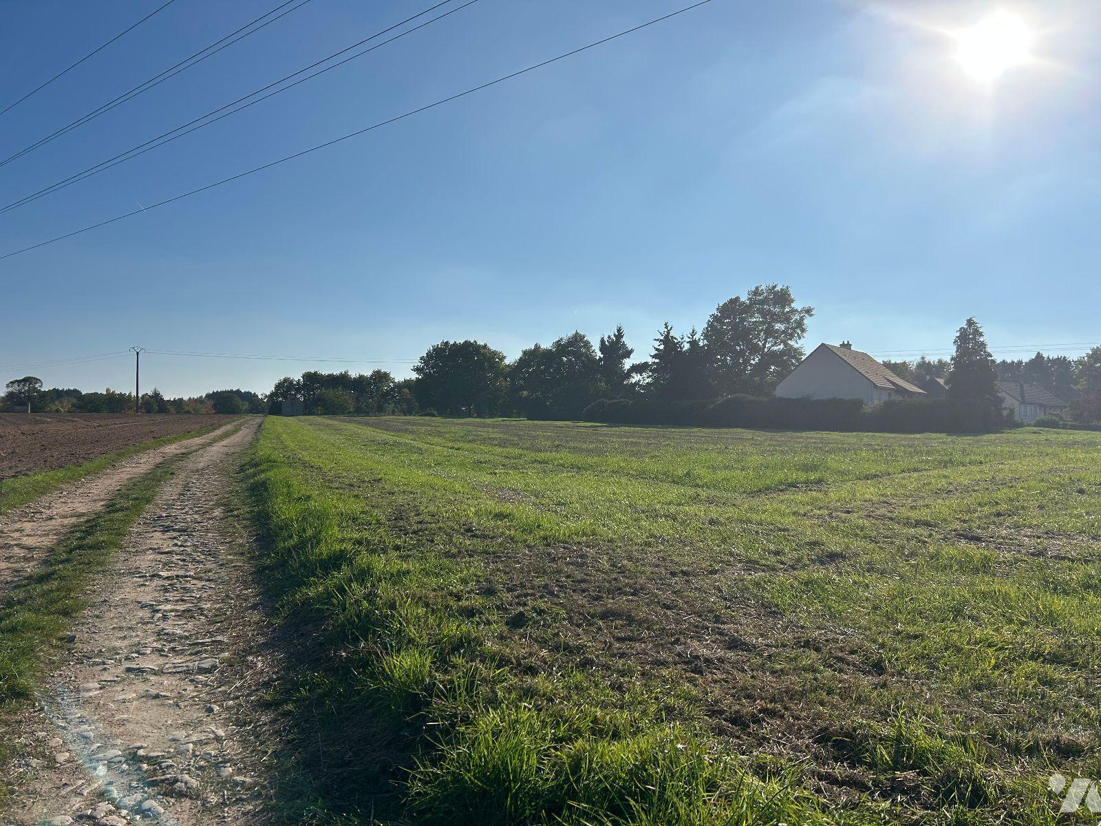 VENTE terrain-LE MAGNY (36)