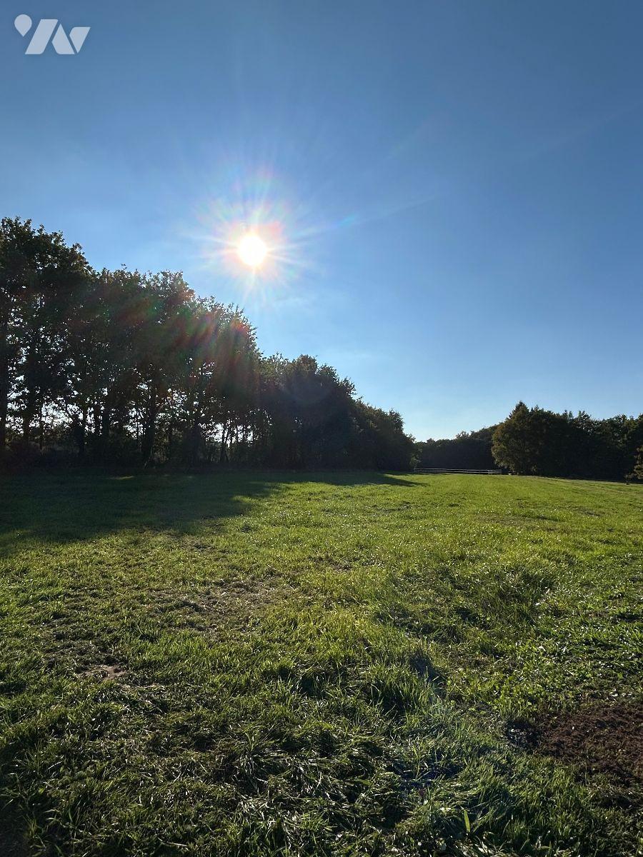 VENTE terrain-LE MAGNY (36)
