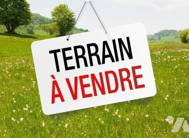 TER 3442m²