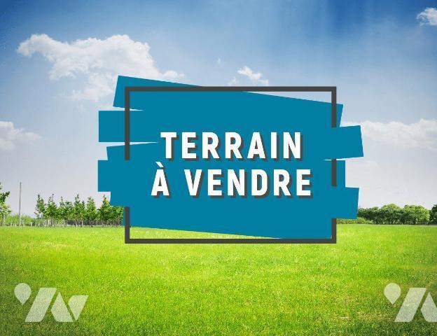 TER 505m²