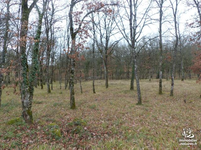 Vente - Terrain à bâtir - Capdenac-Gare - 1823.0m² - Ref : 46055/TEBA/886