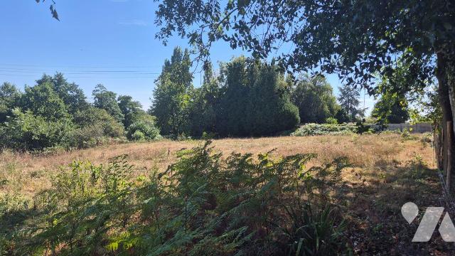 Terrain 3500 m² · à Gorron · 3 500 m² · 40 000 €
