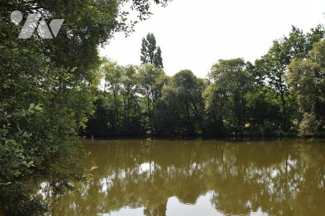 Terrain — Martigné-sur-Mayenne