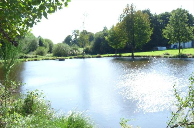 Terrain 11000 m² · à Vautorte · 11 000 m² · 80 000 €